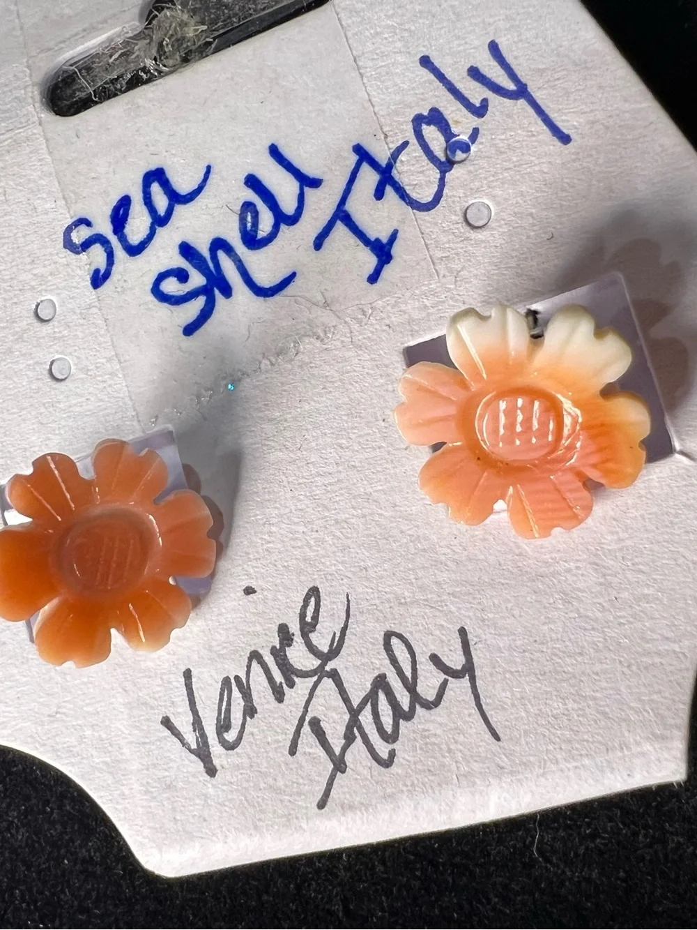 NEW Carved Seashell Flower Stud Earrings - Italy